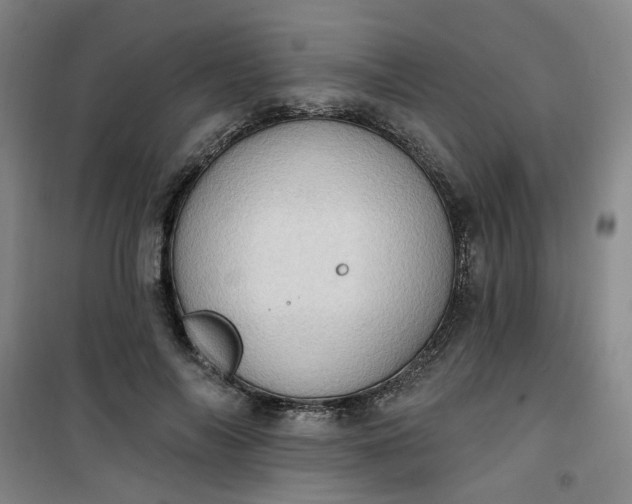 X0000101150694200807111006