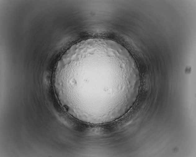 X0000101150695200807111006