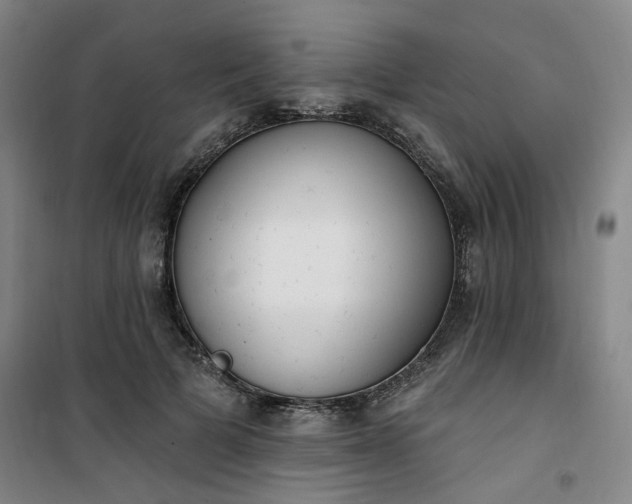 X0000101150697200807111006