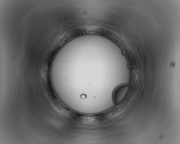 X0000101150698200807111006