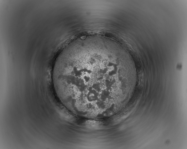 X0000101150699200807111006