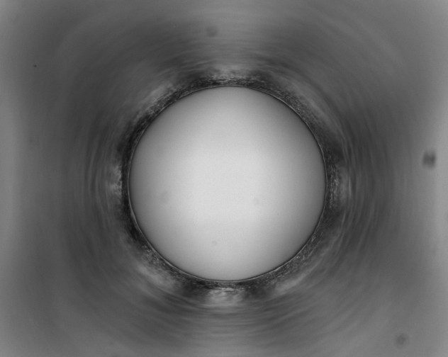 X0000101150700200807111006