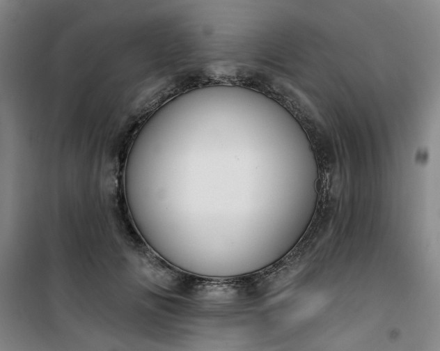 X0000101150702200807111006