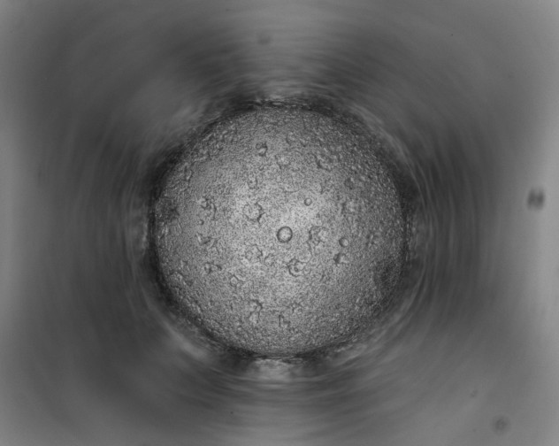 X0000101150703200807111006