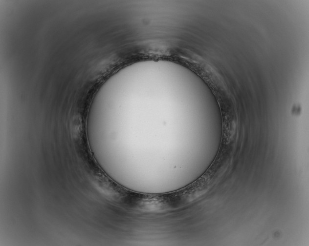 X0000101150704200807111006