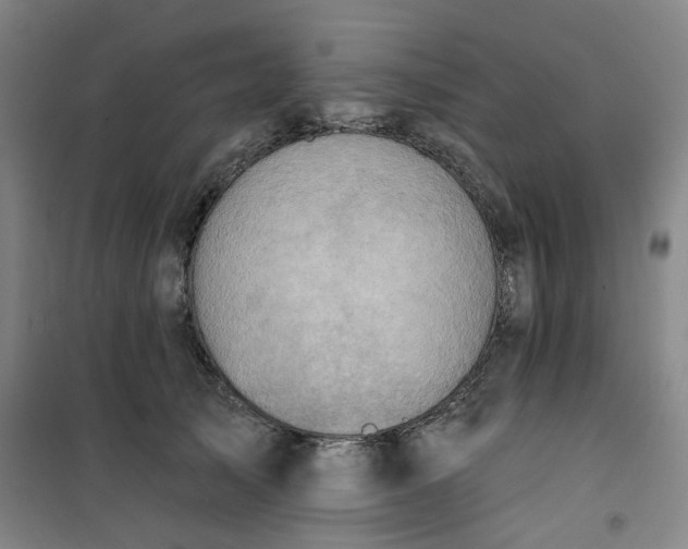 X0000101150705200807111006