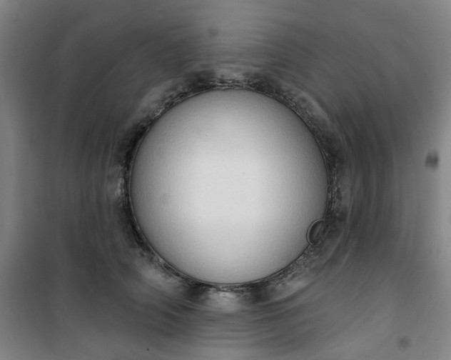 X0000101150706200807111006