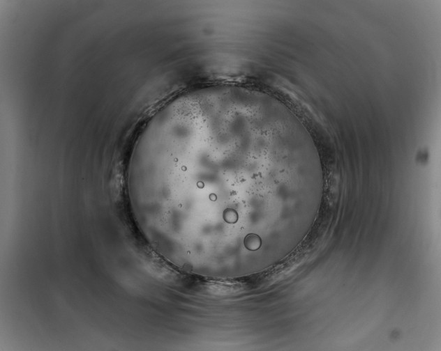 X0000101150707200807111006