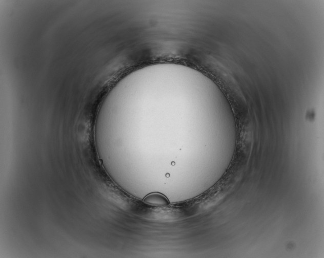 X0000101150708200807111006