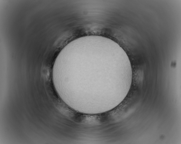 X0000101150709200807111006