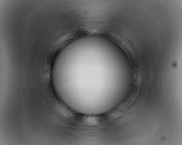 X0000101150710200807111006