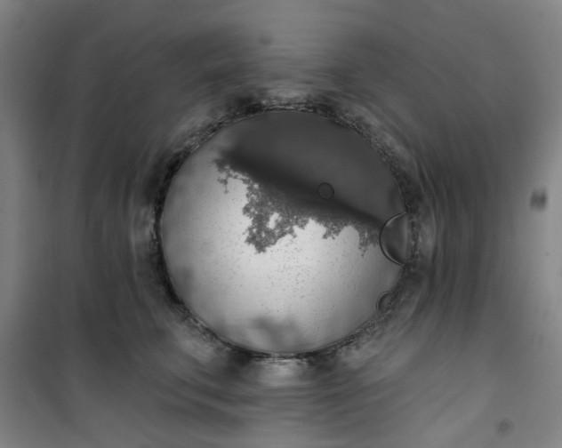 X0000101150711200807111005