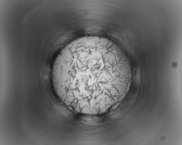 X0000101150712200807111005