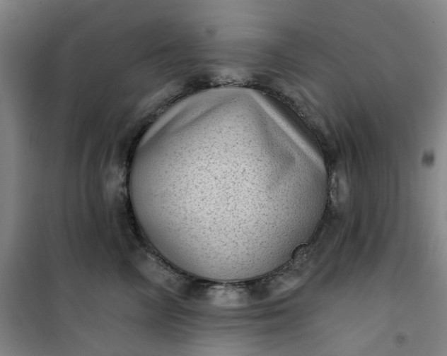 X0000101150714200807111005