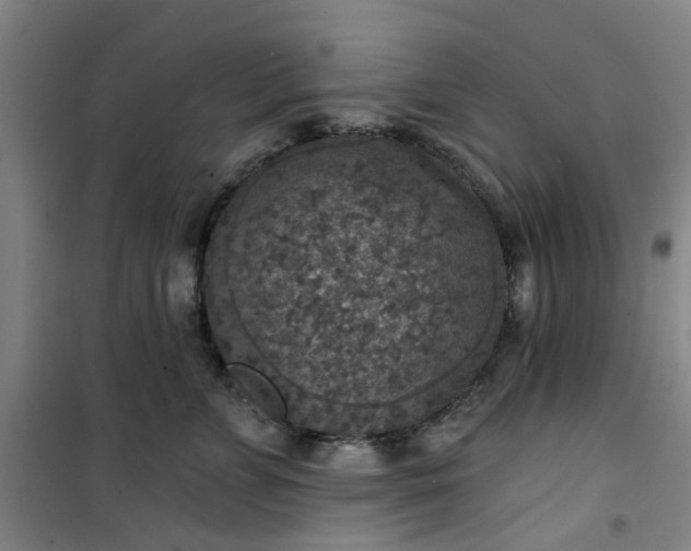 X0000101150715200807111005