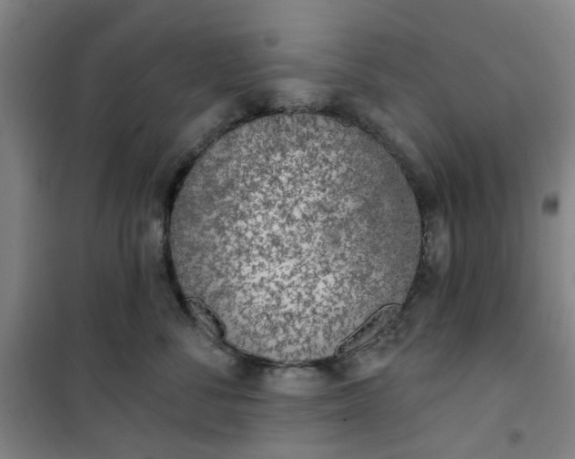 X0000101150716200807111005