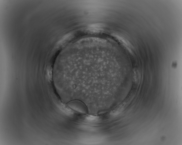 X0000101150718200807111005