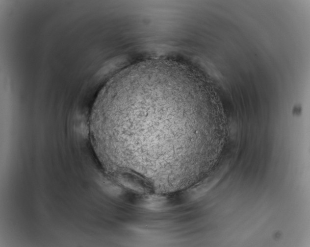 X0000101150719200807111005