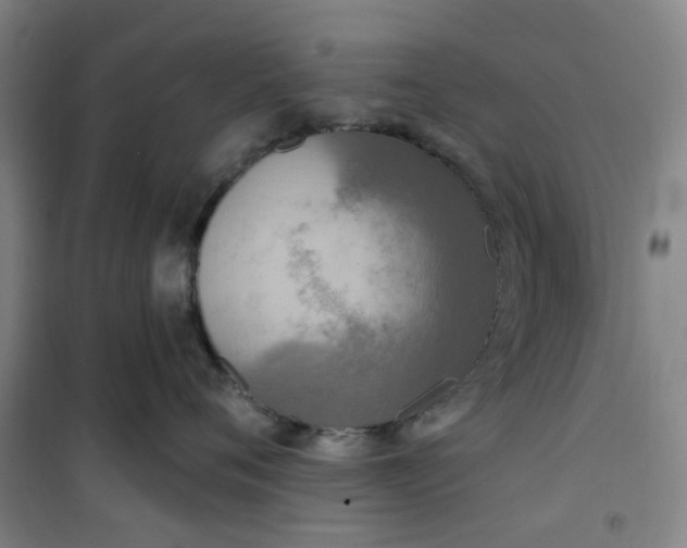 X0000101150720200807111005