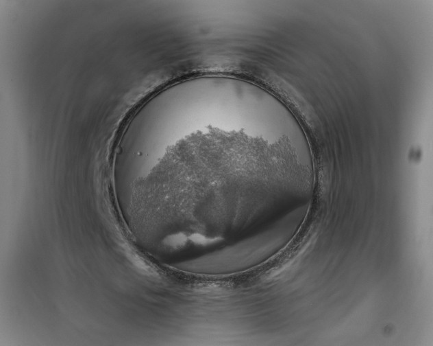 X0000101150721200807111005