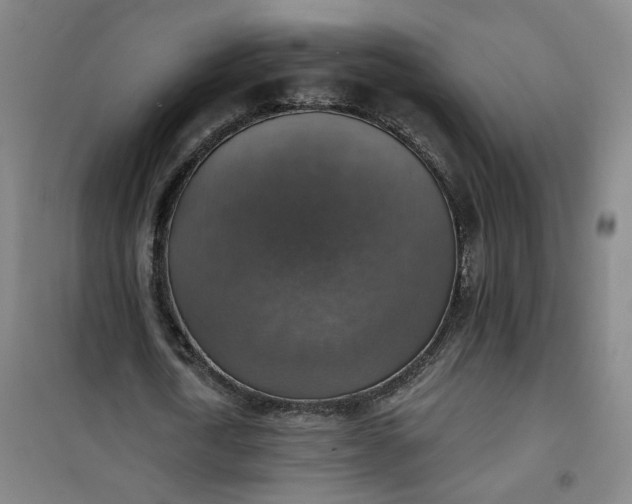 X0000101150722200807111005