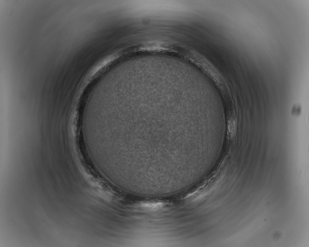 X0000101150724200807111005