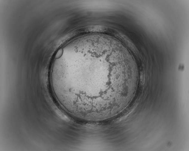 X0000101150725200807111005