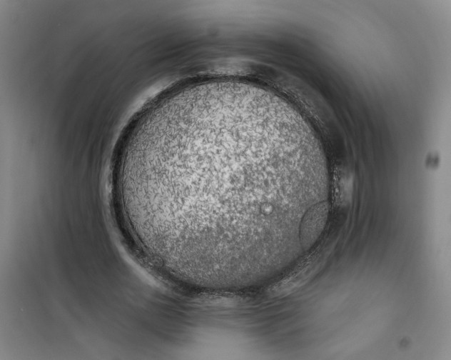 X0000101150726200807111005