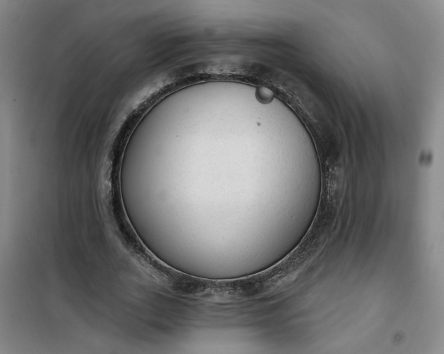 X0000101150727200807111005