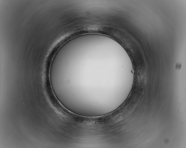 X0000101150728200807111005