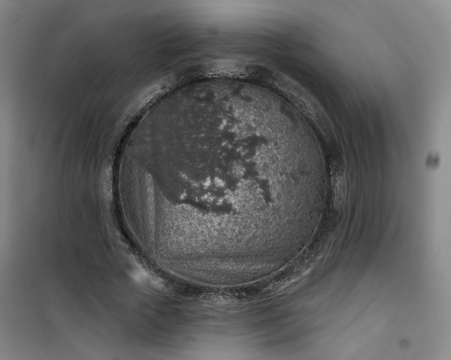 X0000101150729200807111005