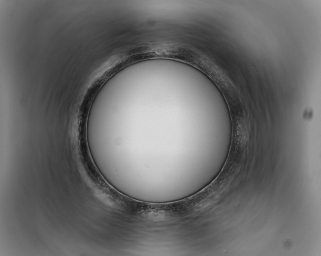 X0000101150730200807111005