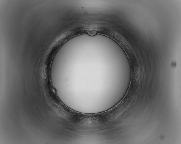 X0000101150731200807111005