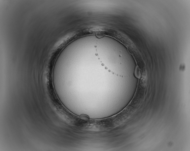 X0000101150732200807111005