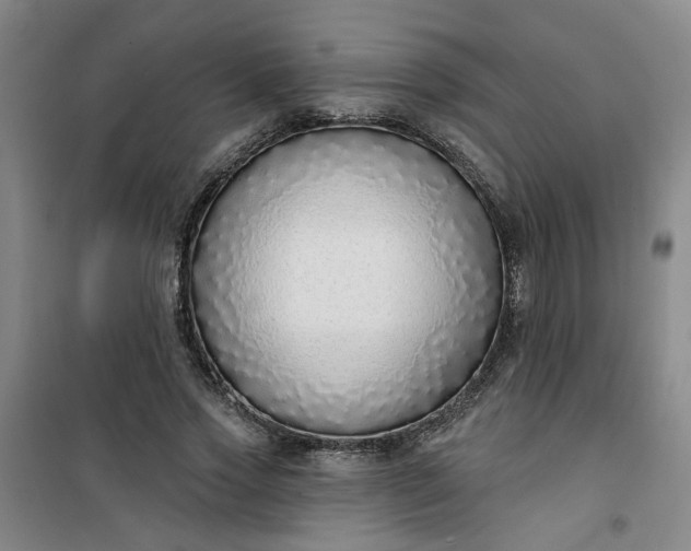 X0000101150733200807111005