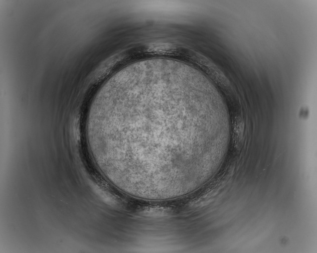 X0000101150734200807111005