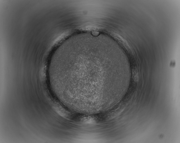 X0000101150735200807111005