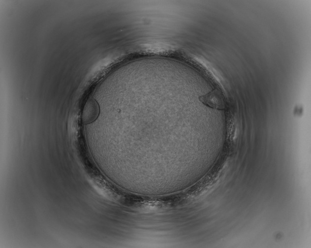 X0000101150736200807111005