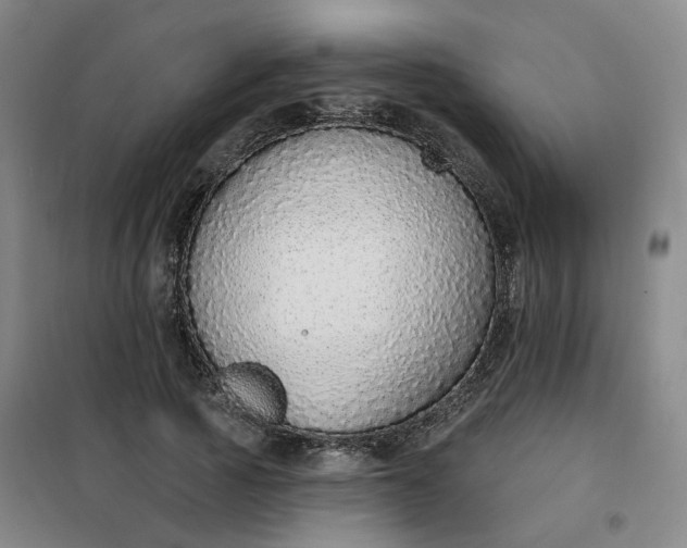 X0000101150737200807111005