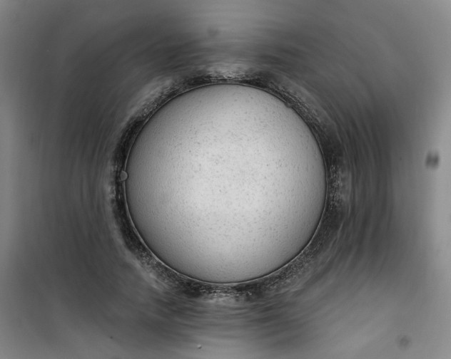 X0000101150738200807111005