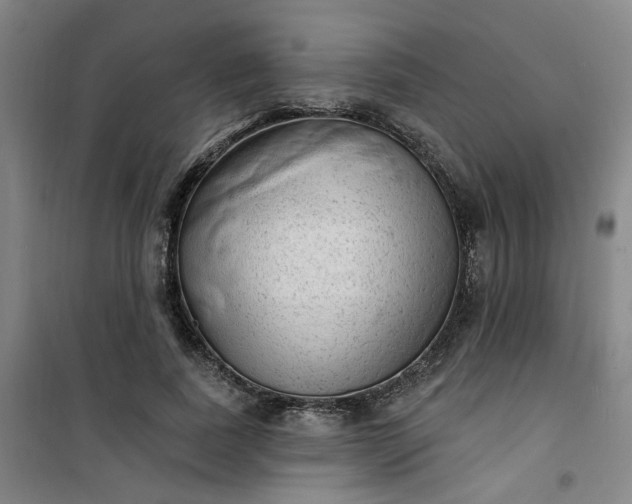 X0000101150739200807111005