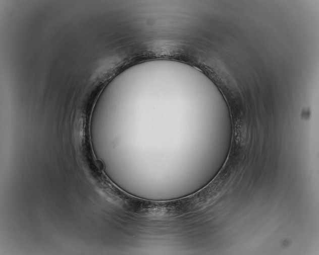 X0000101150740200807111005