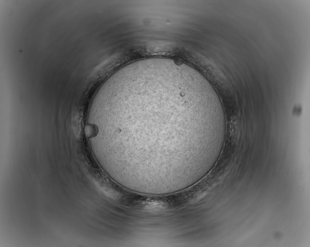 X0000101150741200807111005