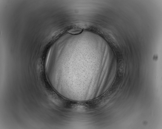 X0000101150743200807111005