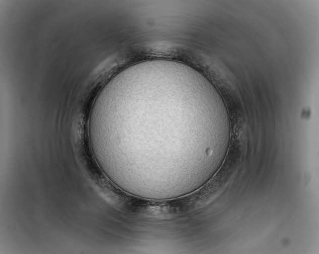 X0000101150744200807111005