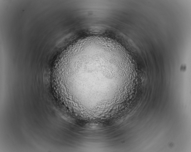 X0000101150745200807111005