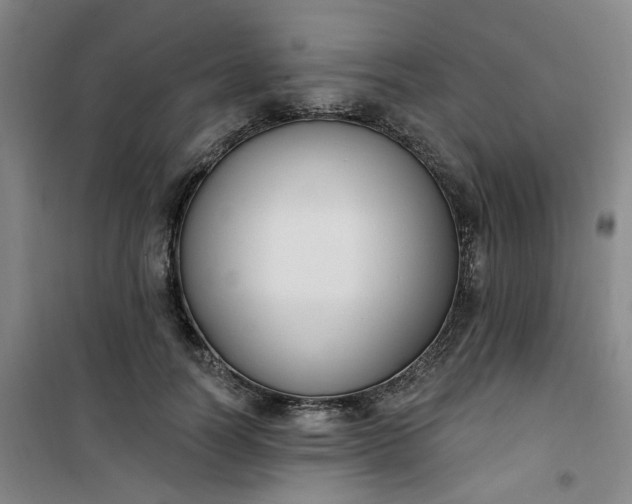 X0000101150746200807111005