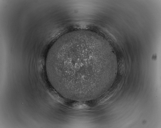 X0000101150747200807111005