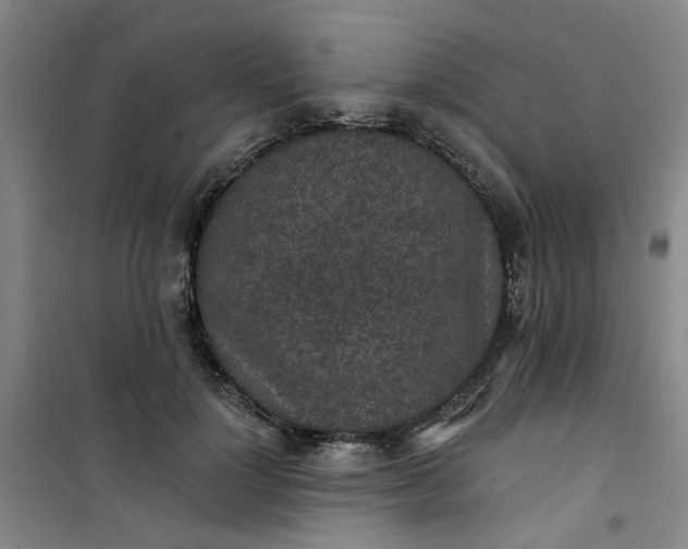 X0000101150748200807111005