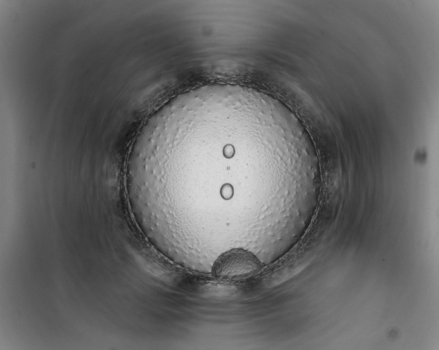 X0000101150749200807111005